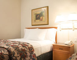 La Quinta By Wyndham Nw Brookhollow Otel